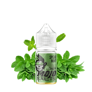 خرید سالت نعناع موجو (30میل) MOJO SPEARMINT
