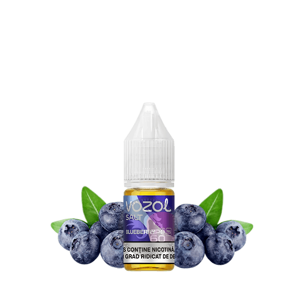 خرید سالت بلوبری وزول (10میل) VOZOL BLUEBERRY