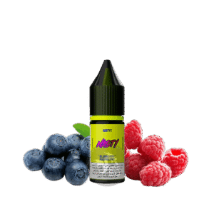 خرید سالت بلوبری تمشک یخ نستی (10میل) NASTY LIQ BLUEBERRY RASPBERRY ICE